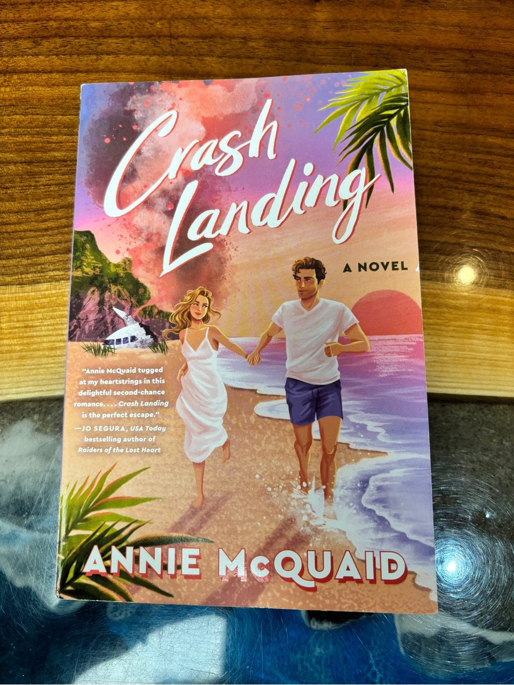 Crash Landing by Annie McQuaid
